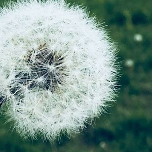 Meet your Posher, Artsy